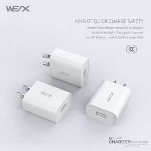 WEX - Caricabatterie da viaggio V8, caricatore da muro, alimentatore