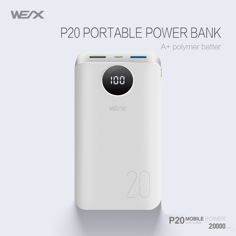 WEX - P20 Banca di alimentazione