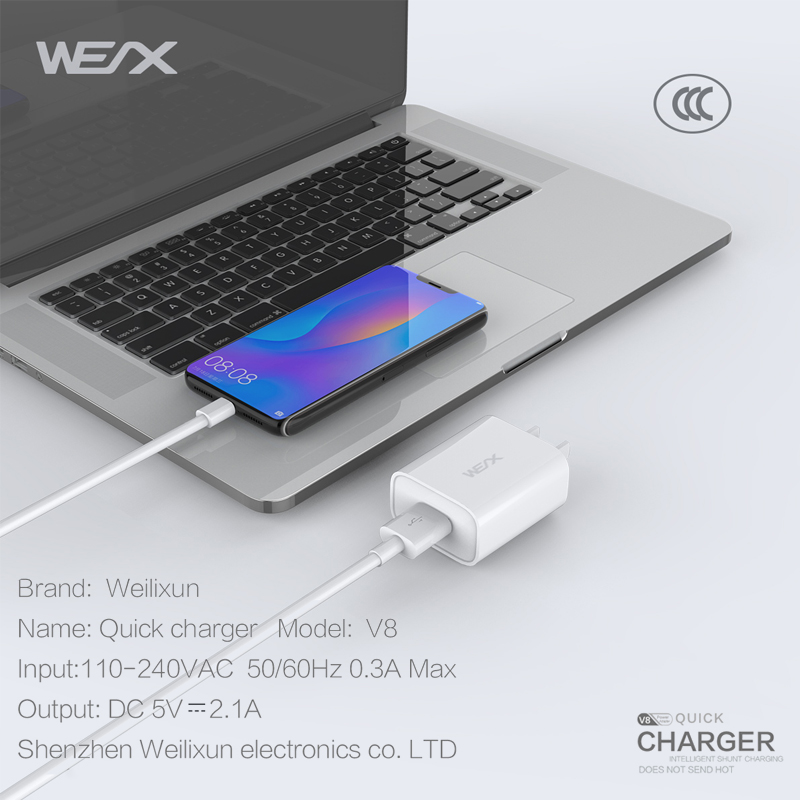 WEX -V8 singolo caricatore a parete a porta (65292; caricabatterie usb